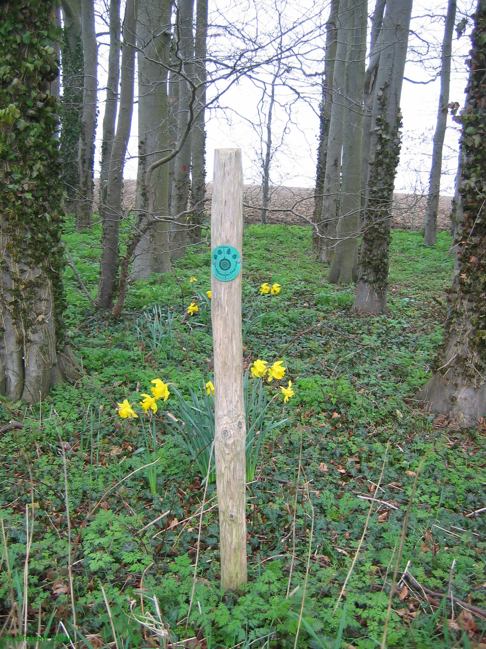 Greenwich Meridian Marker; England; Lincolnshire; Hareby